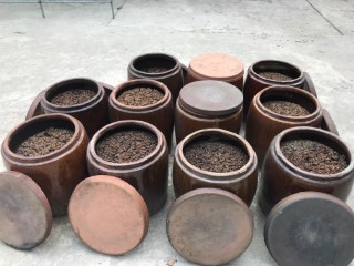 MAI AM DONG DAY - 0532019.jpg