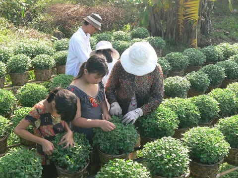 Làng hoa kiểng.JPG